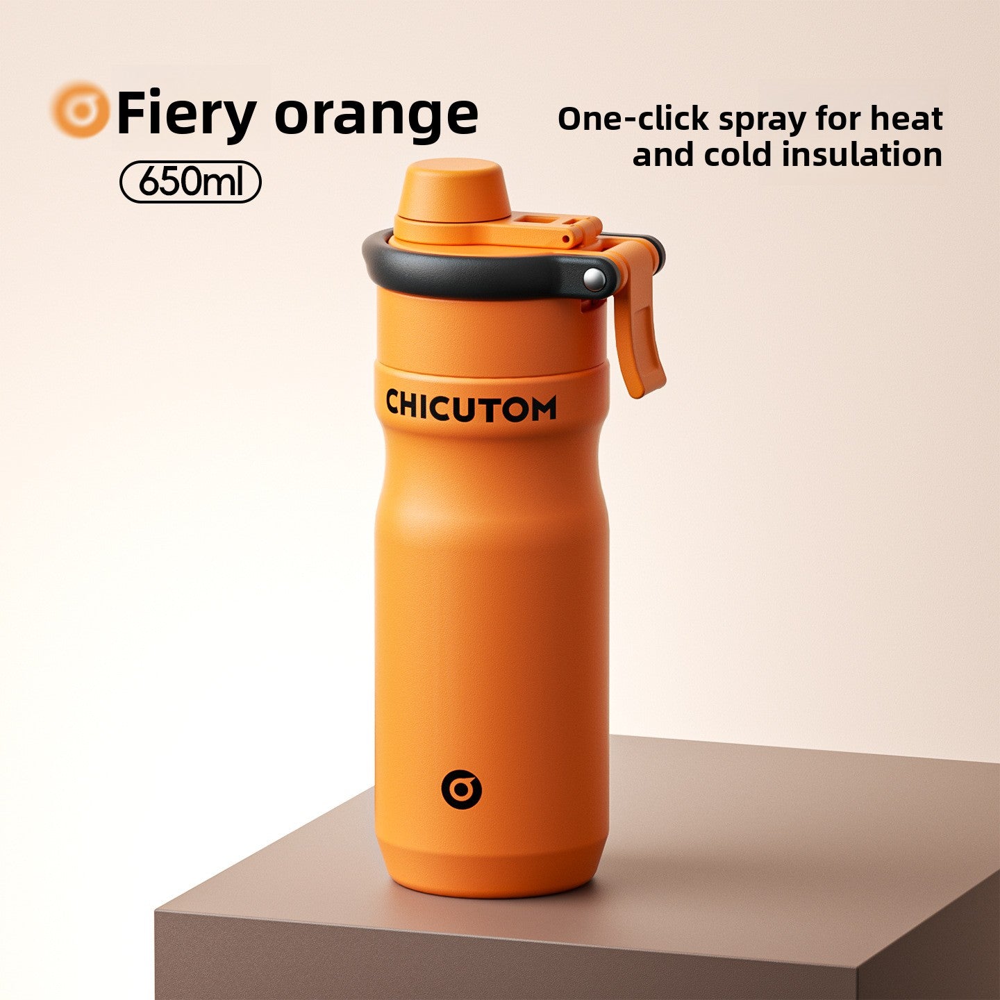 Stainless Steel Thermal Spray Water Bottle